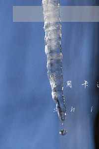 信用卡逾期總是說立案怎么回事？實(shí)際情況是什么？